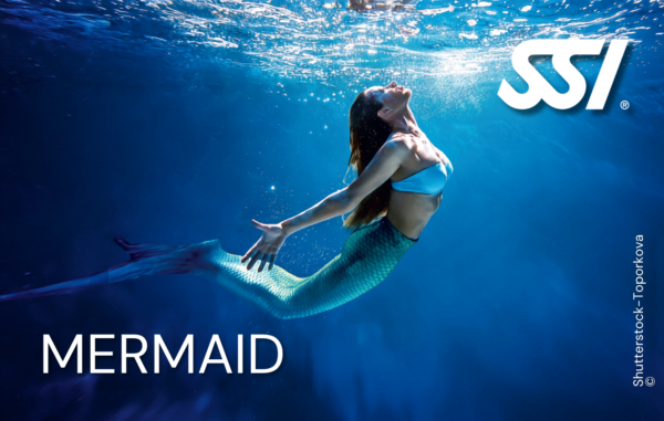SSI Mermaid