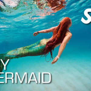 SSI Try Mermaid